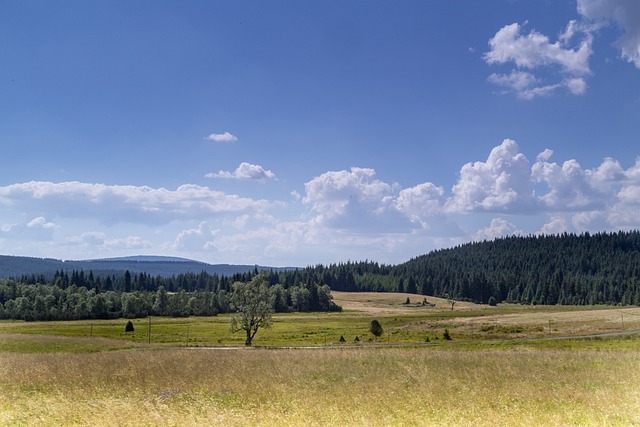 Dres Maloja s květinovými motivy vaše dívka určitě ocení